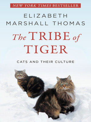 cover image of The Tribe of Tiger
